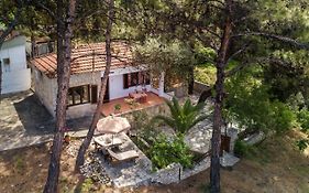 Villa Olga